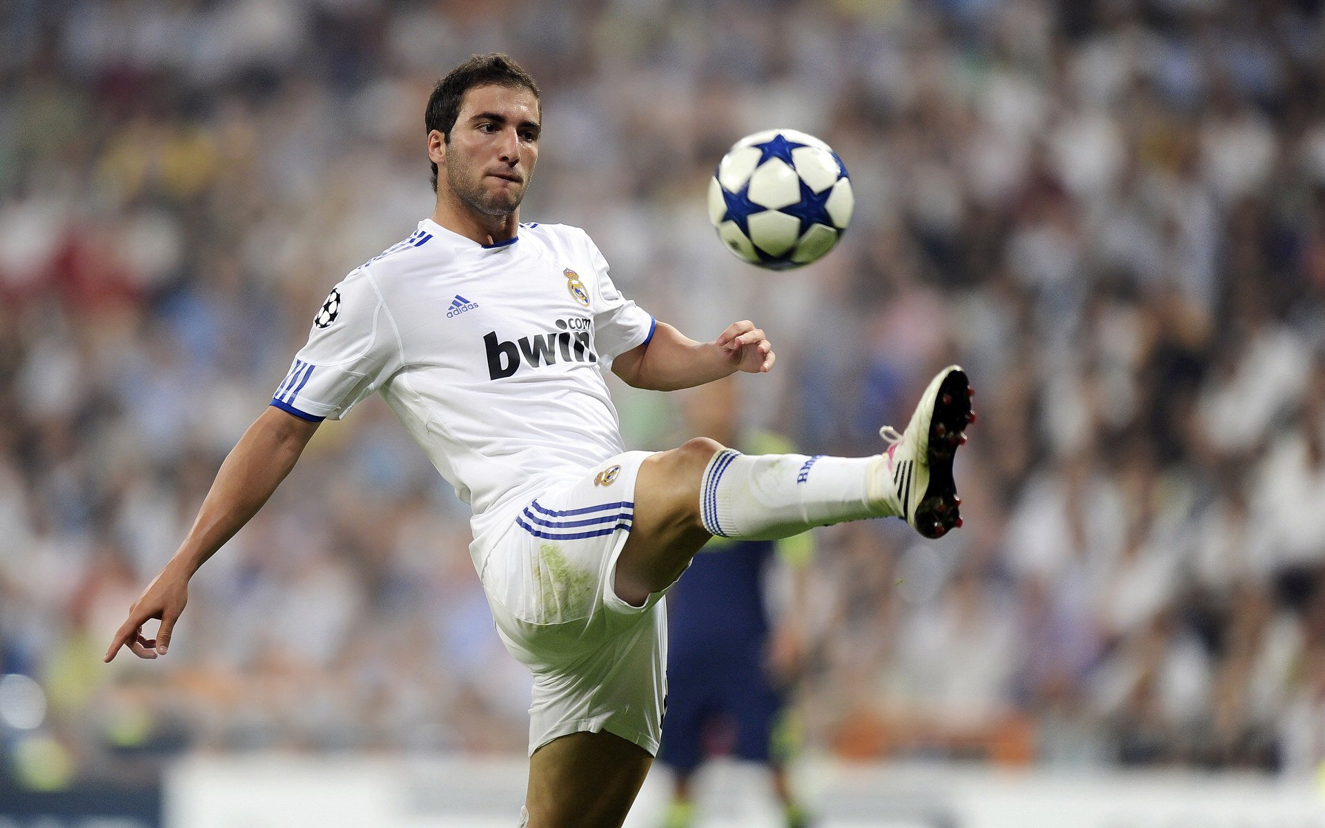 意甲引援潮涌动：多名年轻潜力股加盟，意甲成员